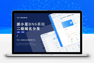 2025派小星DNS二级域名分发公测免费版