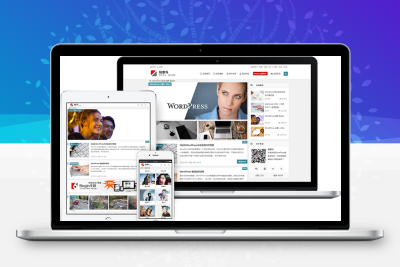 WordPress主题：知更鸟Begin5.2破解去授权无限制